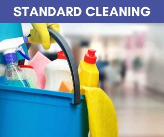 Standard Cleaning Services