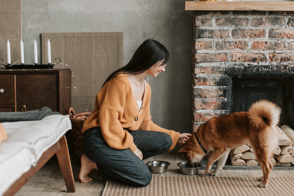 How To Make Your Airbnb Pet Friendly