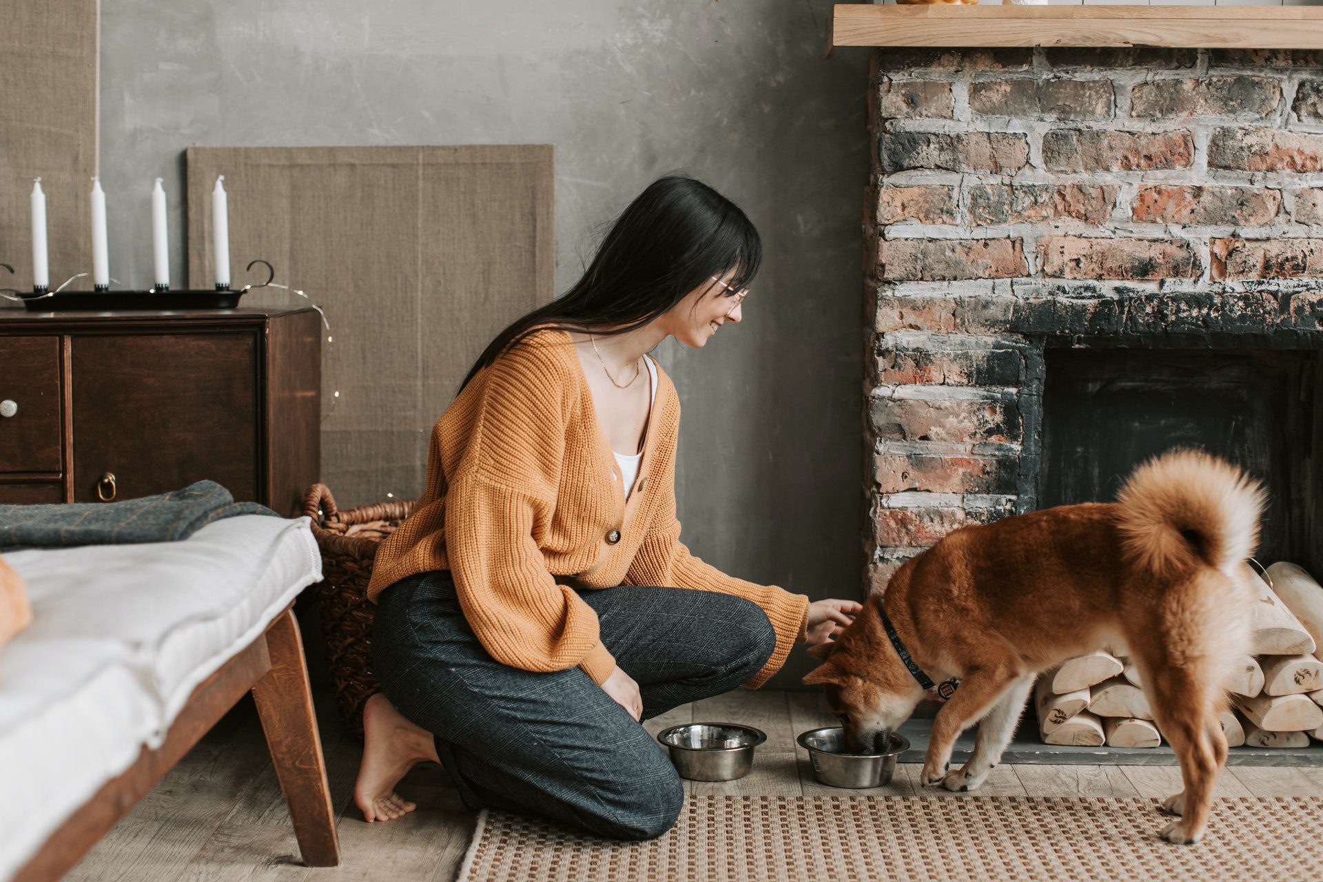 How To Make Your Airbnb Pet Friendly ExpressCleanTes