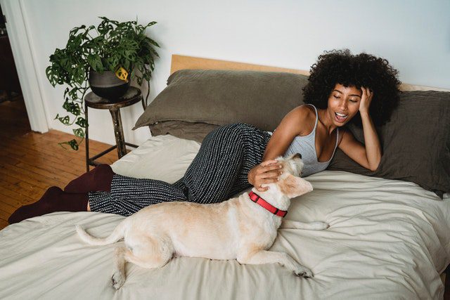 Learn How To Make Your Airbnb Pet Friendly