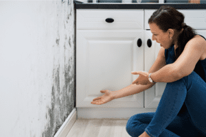 Read more about the article How To Remove Mildew From Your Airbnb