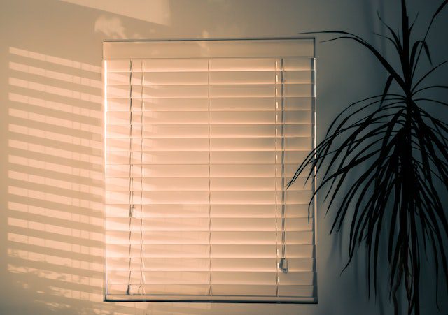 smart-blinds-in-your-apartment