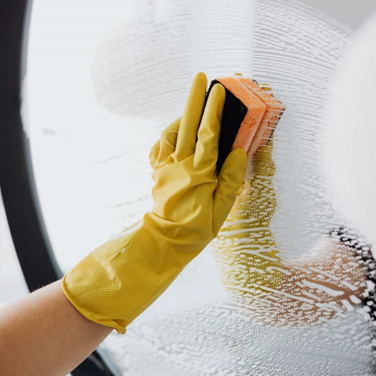 cleaning service in norridge il