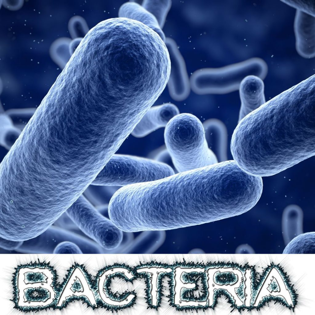 what-is-medical-office-cleaning-and-why-is-it-important-bacteria