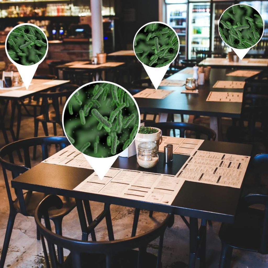 What Types Of Cleaning Products Should Be Used In A Restaurant bacteria and germs