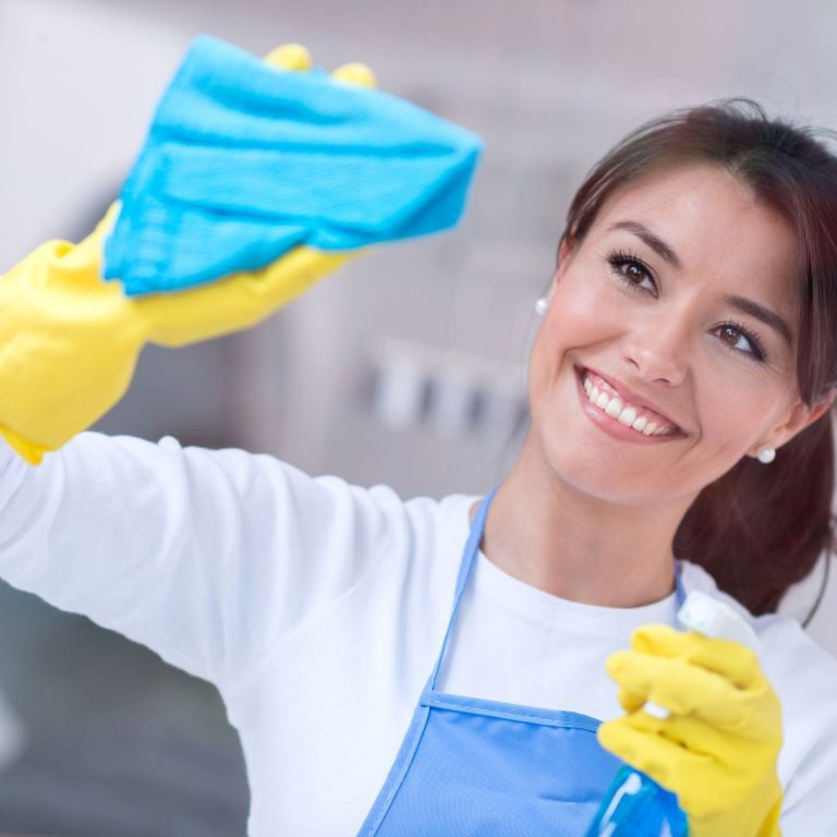 cleaning equipment in skokie il
