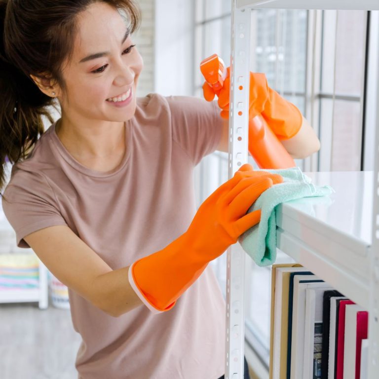 house cleaning service in carpentersville