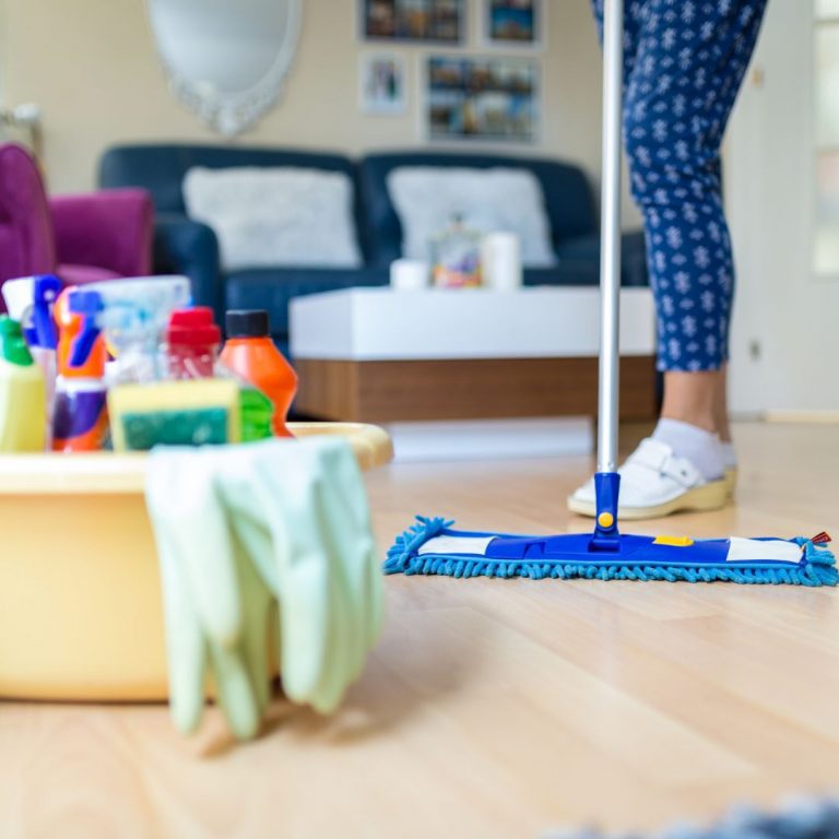 house cleaning service in spring grove il