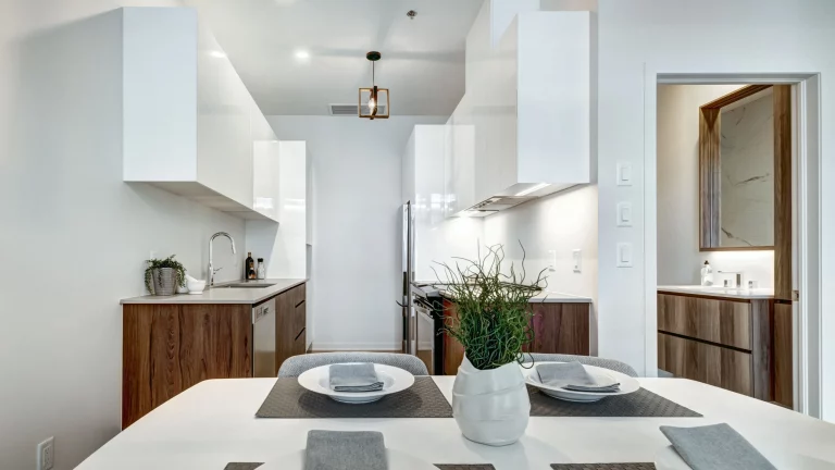 apartment cleaning chicago illinois